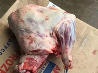 乌拉圭全肋条羊排