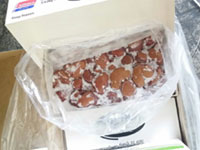 乌拉圭全肋条羊排