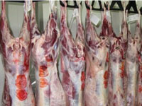 整羊或四\六分体