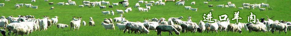 晟和辰进口羊肉